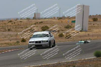 media/May-03-2025-Lucky Dog Racing (Sat) [[206de64b9d]]/Turn 6 (150pm-230pm)/